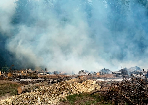 NYS DEC forest ranger report for week of June 16-23, 2024