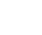 Wii mini