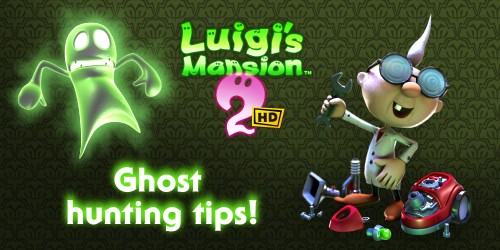 Professor E. Gadd’s top 10 tips for ghost hunting success!