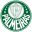 Palmeiras futebol basquete