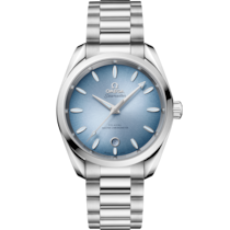 Seamaster 38 mm, steel on steel - 22010382003004