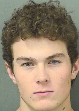 Dylan Brewer, 19, of Clearwater, is shown in a Palm Beach County Sheriff's Office jail booking photo on Monday, Feb. 12, 2024. (Courtesy/Palm Beach County Sheriff's Office)