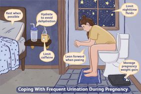 Frequent urination during pregnancy graphic 