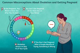 common misconceptions about ovulation and getting pregnant