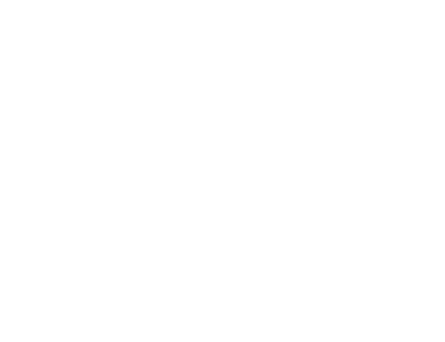 Sinking Ship Entertainment