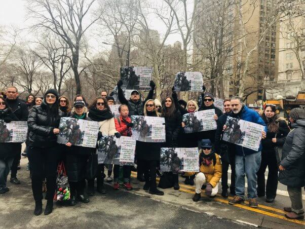 new york city residents gather to celebrate progress for horses forced to pull carriages