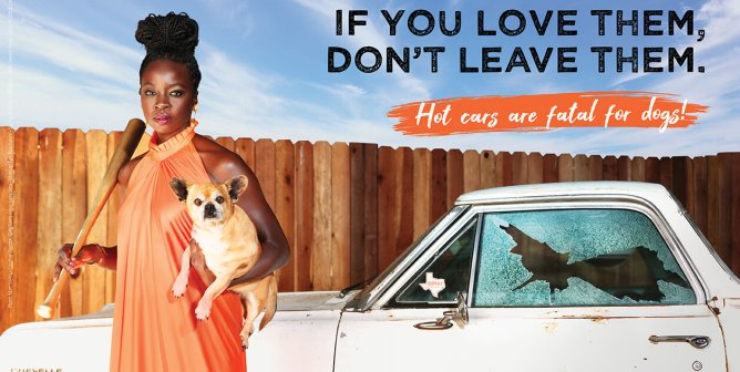 Danai Gurir saving dog from hot car for PETA ad