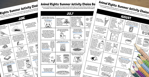 summer activity choice boards