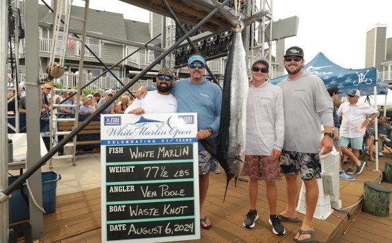 Ven Poole, a Raleigh, North Carolina resident, reeled in the white marlin — the tournament's first white marlin catch since 2022 — at about 8:44 a.m. Tuesday. Then the waiting began as the tournament's 317 other boats fished off the Ocean City, Maryland, coast in a quest to unseat Waste Knot.