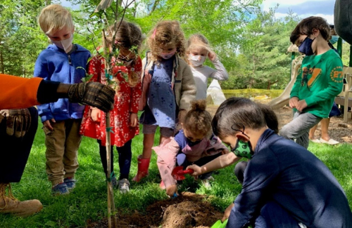 children gather around a tree being planted