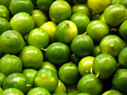 Aguacate hass, limón tahití y gulupa llevan al alza las exportaciones de frutas frescas