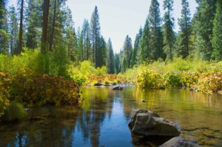 photo - McCloud River