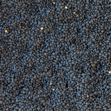 Black Caviar Lentil - Rancho Gordo