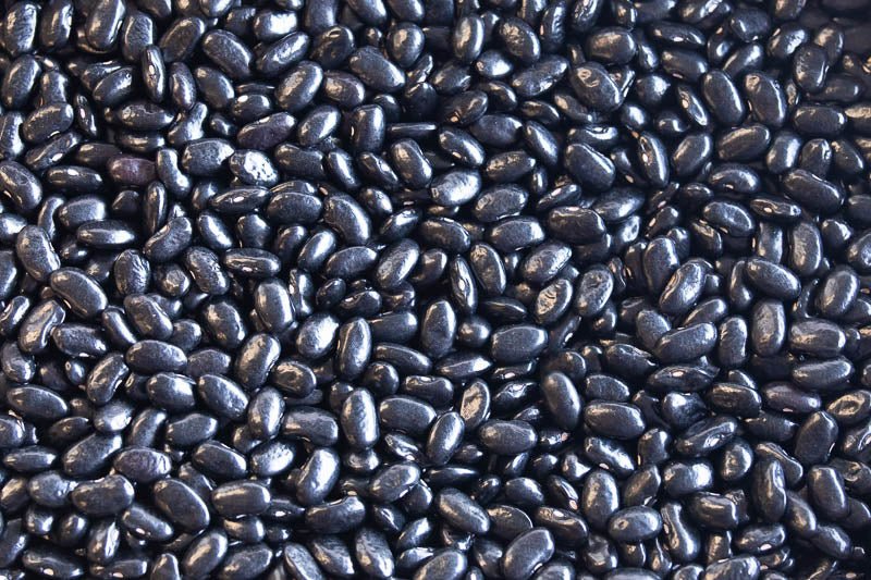 Chiapas Black Bean (Frijol Negro de Vara) - Rancho Gordo