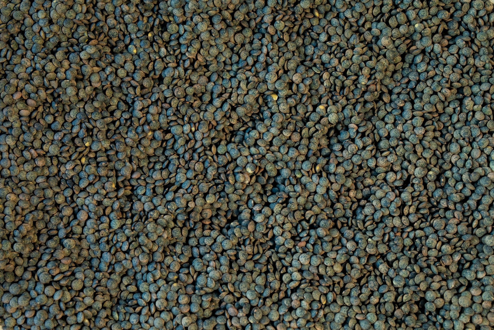 French - Style Green Lentil - Rancho Gordo