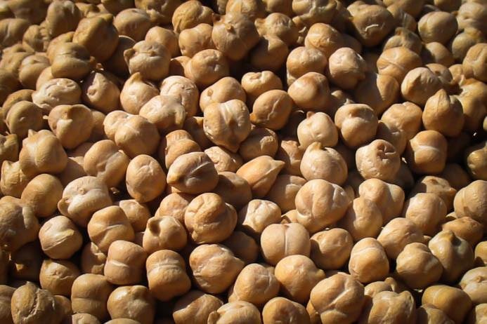 Garbanzo Bean (Chickpea) - Rancho Gordo