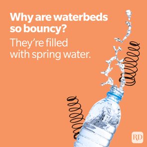 Spring Water Spring Joke