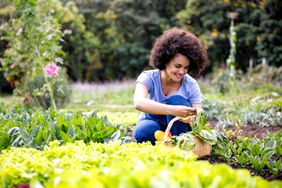 Young woman harvesting vegetables in her garden