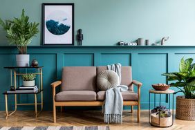 Living room in blue teal color with loveseat and plants