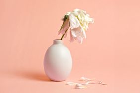 wilting flower in a vase