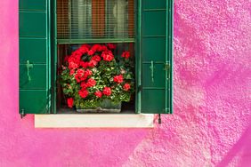 Pink exterior of home with red flowers in window