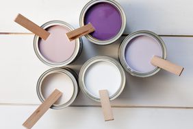 5 Quick Painting Tips Everyone Should Know, lavender paints