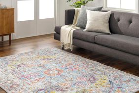  Livabliss Odelia Vintage Bohemian Area Rug