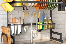 Vertical dish rack review Tout