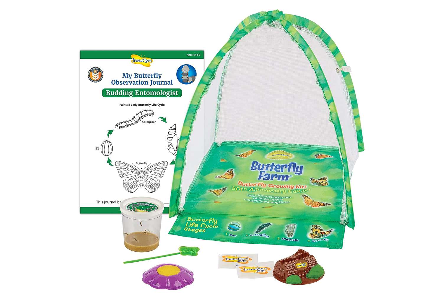 Amazon Insect Lore Butterfly Garden: Farm Habitat and Live Cup of Caterpillars