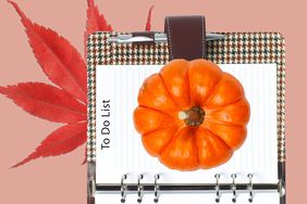 leaf and pumpkin on a checklist planner