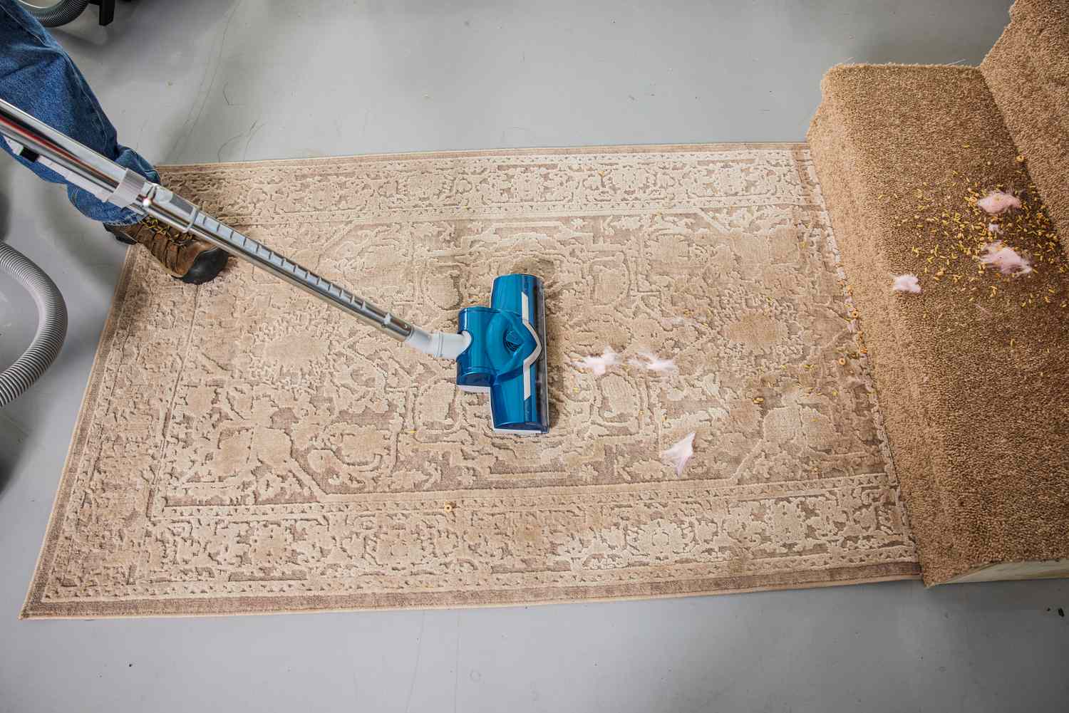 A person cleans a carpet using the Kenmore Compact Bagless Canister Vacuum.