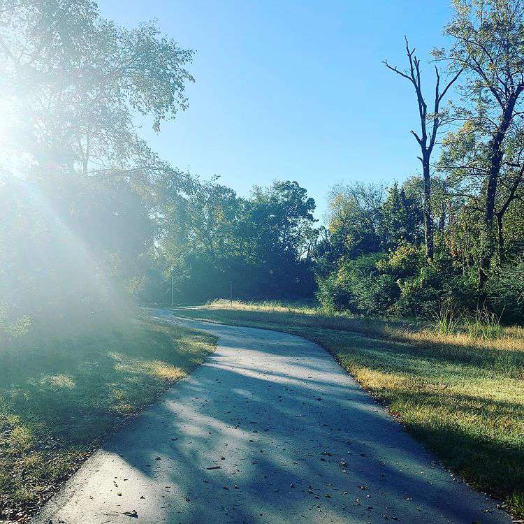 sunny walking path