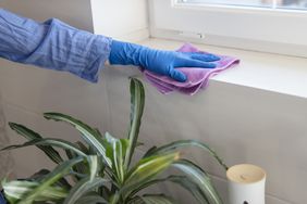 how-to-clean-mold-GettyImages-1395624877