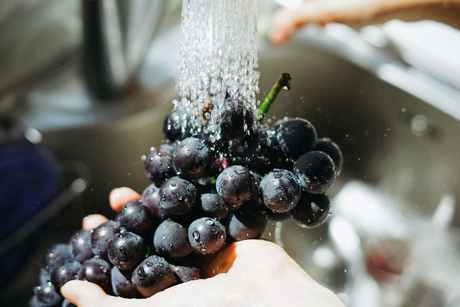 Person washing grapes under the faucet