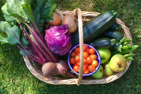 Freshly picked organic fruit (bramley apples) and vegetables (courgettes, tomatoes, beetroot, onions, runner beans, red cabbage) in wicker basket on garden lawn.