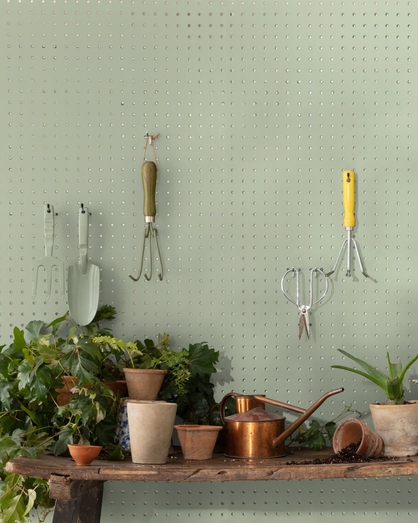 light sage green paint with potted plants in front