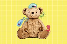 Brown stuffed teddy bear with illustrated germs on its surface, sitting against a yellow grid background