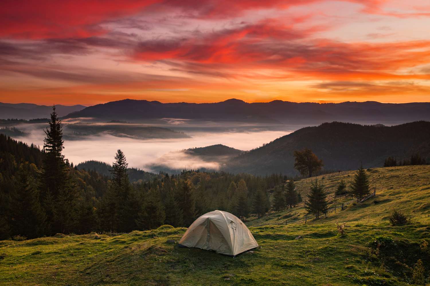 Tent Camping