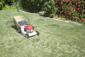 lawn mower on lawn