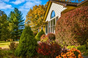 fall-lawn-care-GettyImages-1330821551