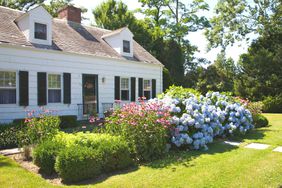 best-flowering-bushes-for-curb-appeal-realsimple-GettyImages-128088472