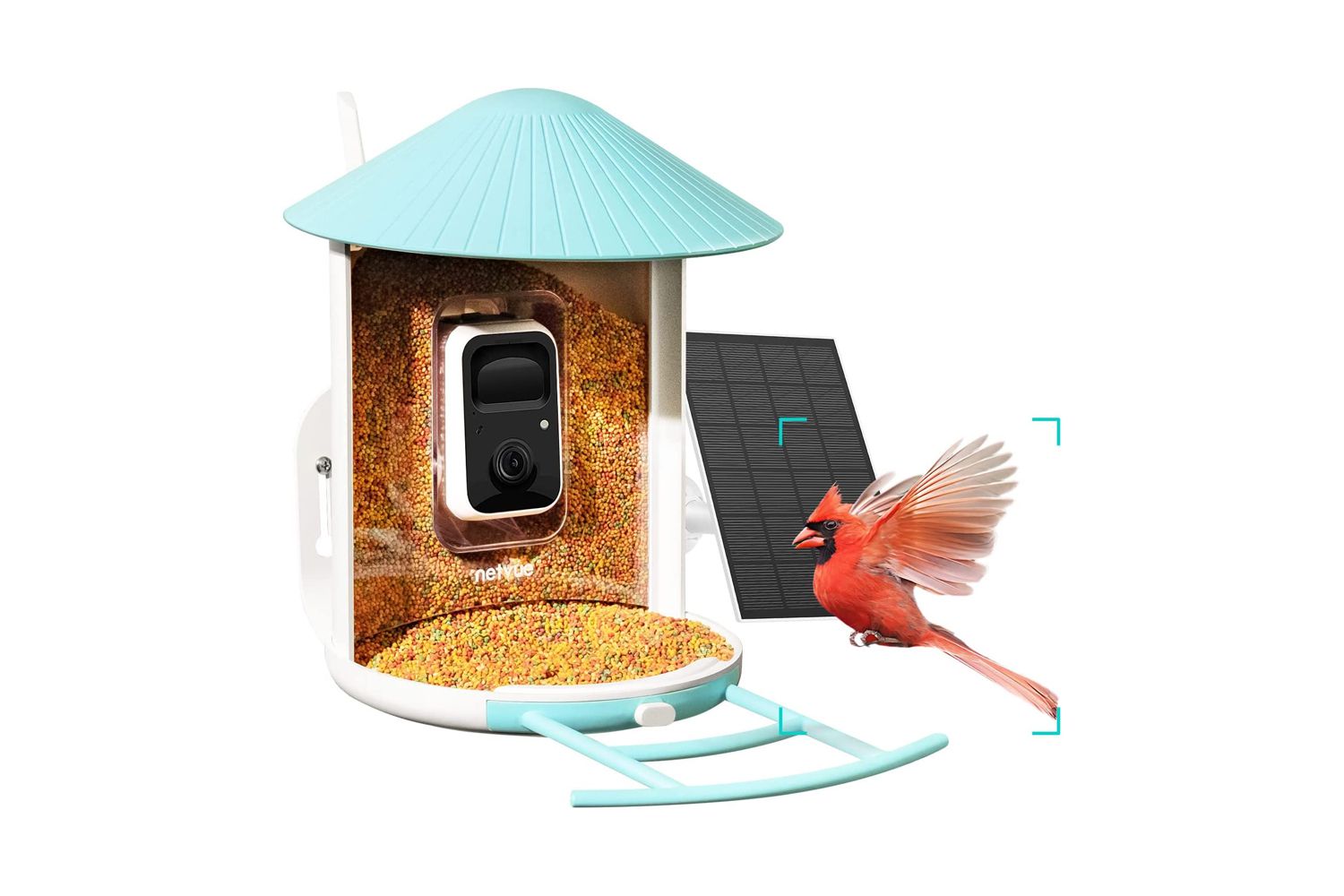 Netvue Birdify Lite Smart Bird Feeder Camera