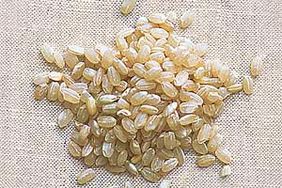 Short-grain brown rice