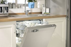 clean dishwasher in chic kitchen