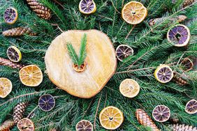 citrus and evergreen xmas deorations