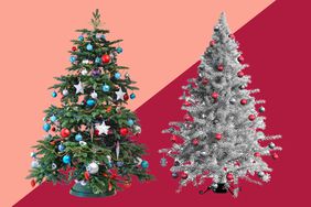 real Christmas tree vs. fake Christmas tree