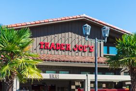 trader-joes-vw-bus-planter-GettyImages-1188120711