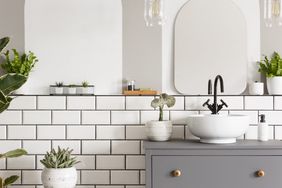 white bathroom with gray cabinet, white sink, plants, and white accesories