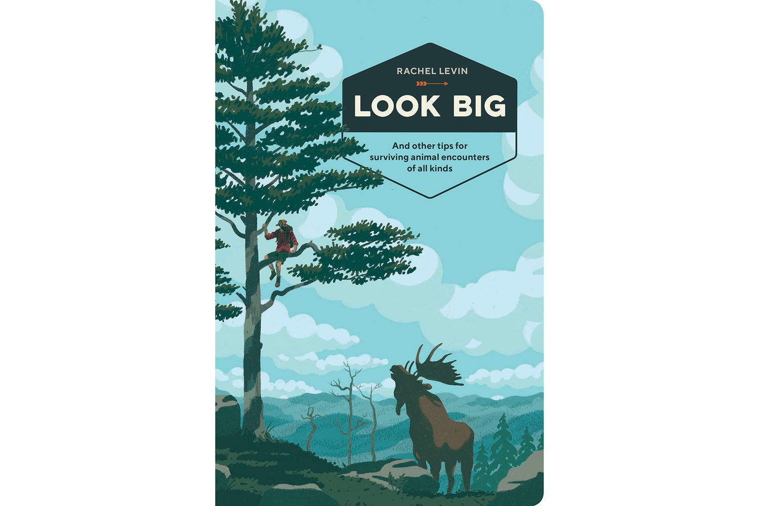 Cover of Look Big, by Rachel Levin
