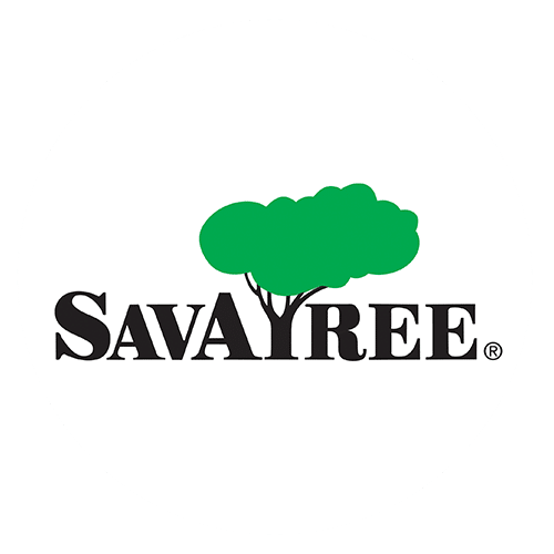 SavATree